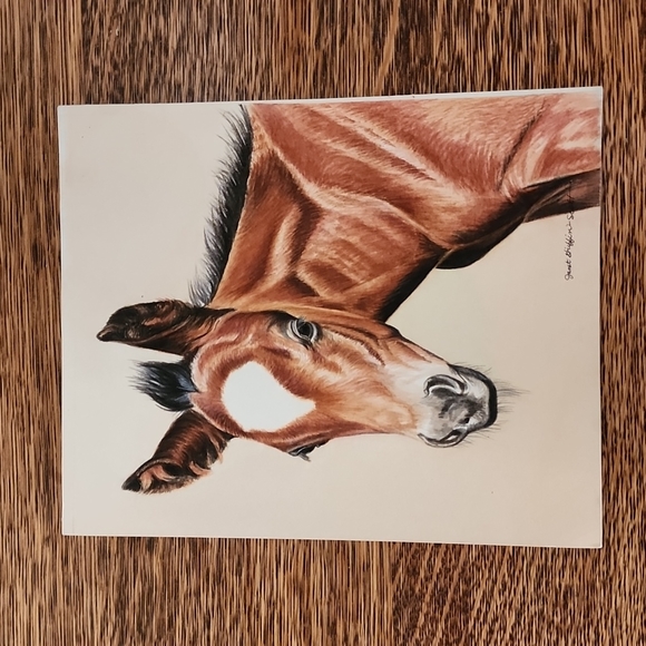 "Those Ears" Original Watercolour Janet Griffin-Scott - Picture 1 of 1